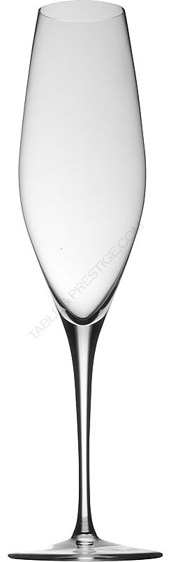 6 x champagne - Rosenthal studio-line